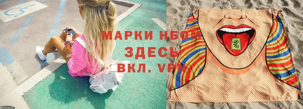 стафф Алзамай
