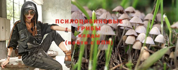 стафф Алзамай