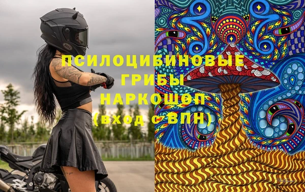 стафф Алзамай